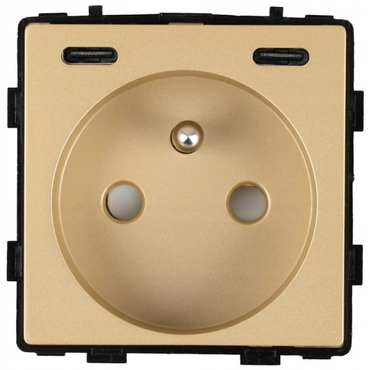 Module Stopcontact Met Aardpen Goud + USB-Lader C+C 20W Voor Afdekramen MIUUN