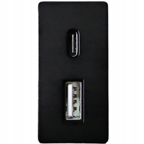 Module USB-Laadstopcontact Dubbel USB A+C 20 WAT Voor Afdekramen