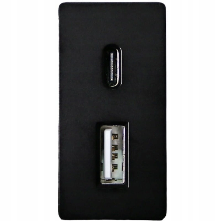 Module USB-Laadstopcontact Dubbel USB A+C 20 WAT Voor Afdekramen