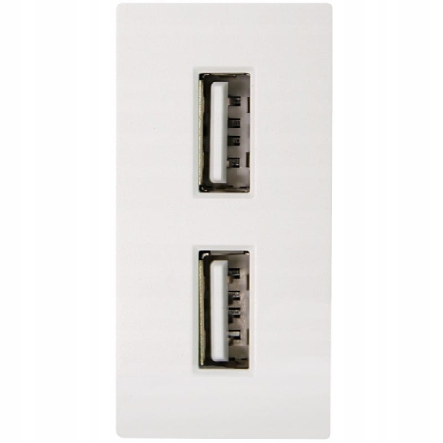 Module Dubbel USB-Laadstopcontact 2.4A Wit Voor Afdekramen MIUUN