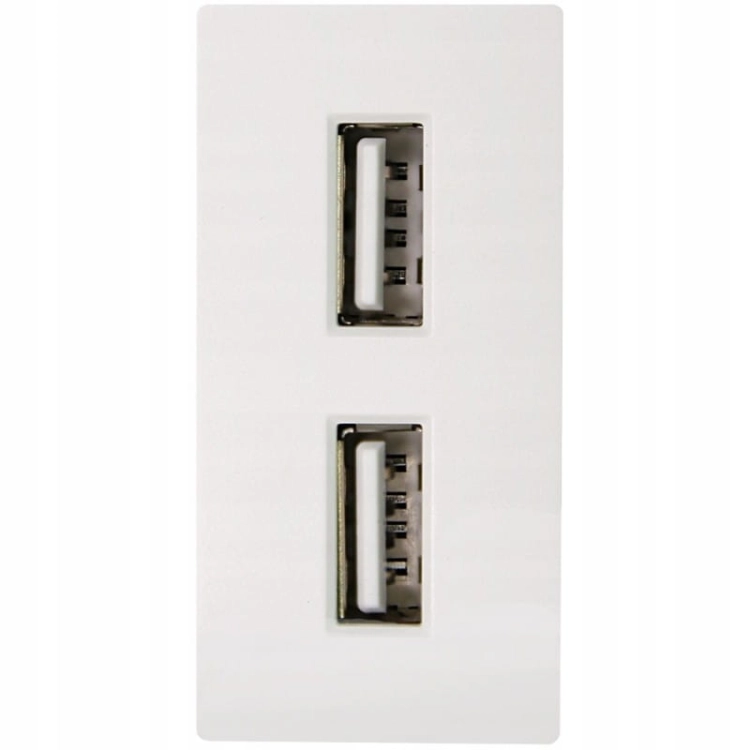 Module Dubbel USB-Laadstopcontact 2.4A Wit Voor Afdekramen MIUUN
