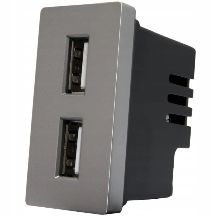 Module Dubbel USB-Laadstopcontact Type A+A 2.4A Grijs Voor Afdekramen