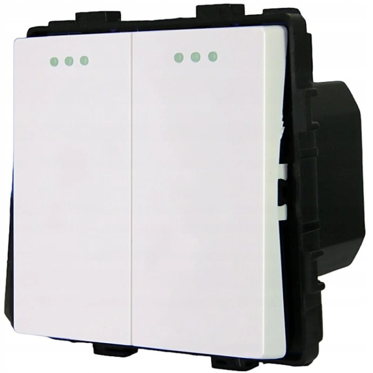 Dubbele Wandschakelaar Wit Set Met PVC-Afdekraam