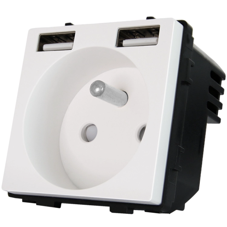 Module Stopcontact Met Aardpen Wit + Dubbel USB-Laadstopcontact A+A 2.4A Voor Afdekramen