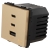 Module Stopcontact Met Drievoudige USB-Lader 65W A+C+C Goud Voor Afdekramen MIUUN