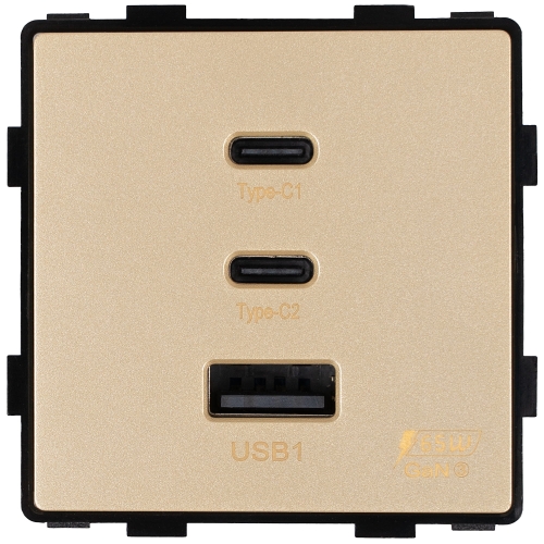Module Stopcontact Met Drievoudige USB-Lader 65W A+C+C Goud Voor Afdekramen MIUUN