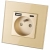 Stopcontact Goud Dubbele USB A+C Lader 20W Set Met Afdekraam MIUUN