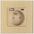 Stopcontact Goud Dubbele USB A+C Lader 20W Set Met Afdekraam MIUUN