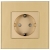 Stopcontact Goud Schuko Met Aarding Set Met Afdekraam MIUUN