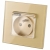 Stopcontact Goud Met Klep En Aarding Set Met Afdekraam MIUUN