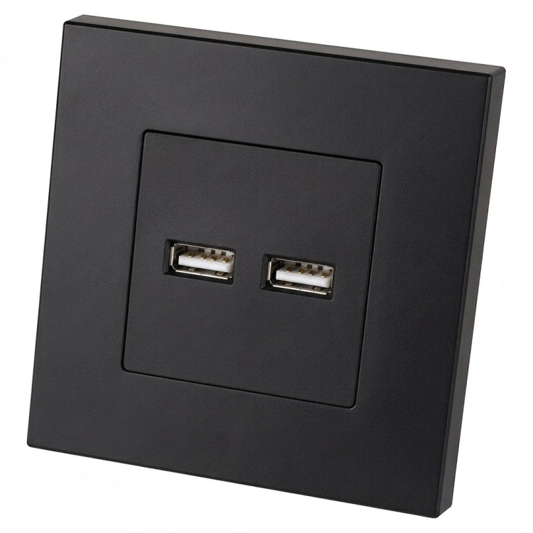 Dubbele USB-Lader 3.1A Zwart Set Met Kunststof Afdekraam LINEA MIUUN