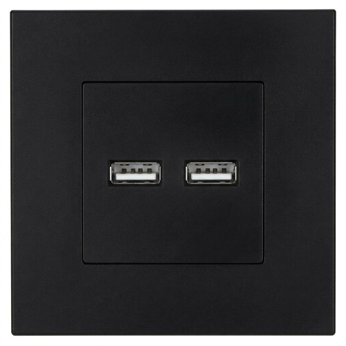 Dubbele USB-Lader 3.1A Zwart Set Met Kunststof Afdekraam LINEA MIUUN