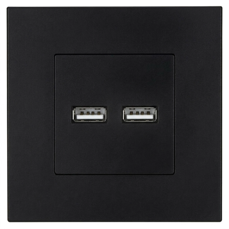 Dubbele USB-Lader 3.1A Zwart Set Met Kunststof Afdekraam LINEA MIUUN