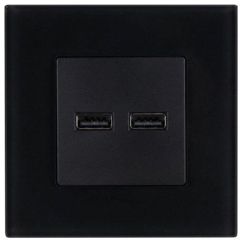 Dubbele USB-Lader 3.1A Zwart Set Met Mat Glazen Afdekraam MIUUN