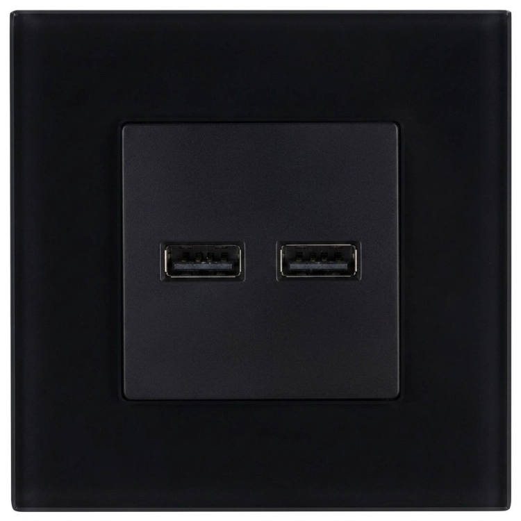 Dubbele USB-Lader 3.1A Zwart Set Met Mat Glazen Afdekraam MIUUN