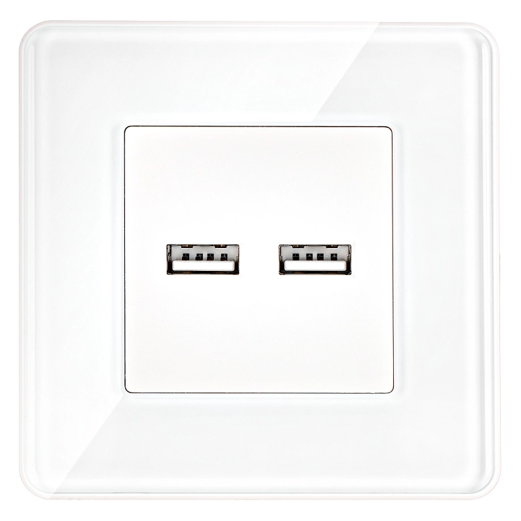 Dubbele USB-Lader 3.1A Wit Set Met Glazen Afdekraam Hoogglans MIUUN