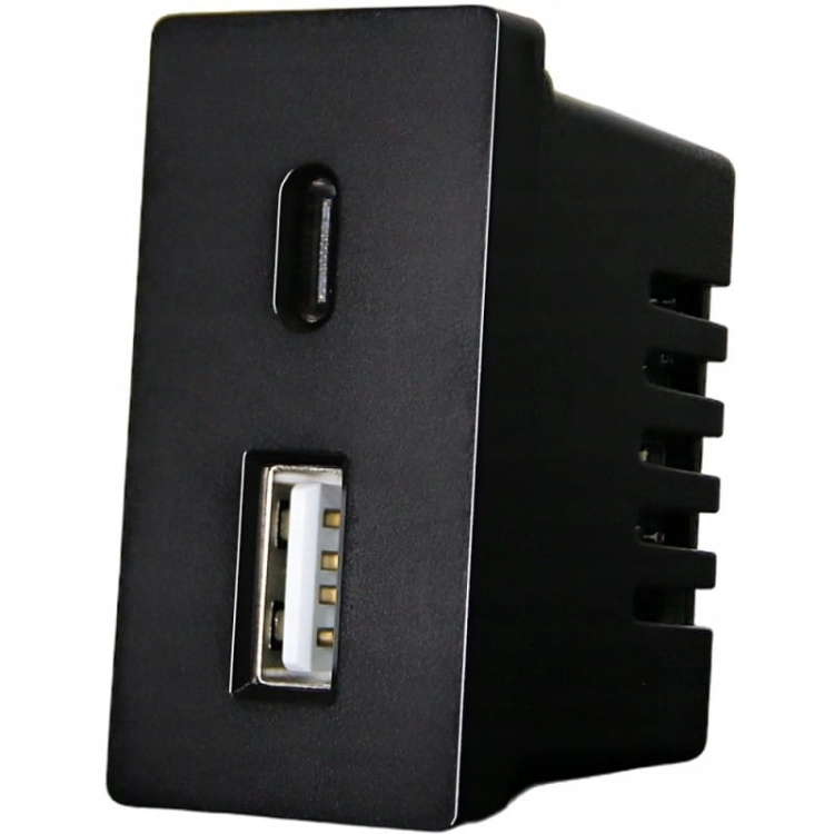 Module USB-Laadstopcontact Dubbel USB A+C 20 WAT Voor Afdekramen