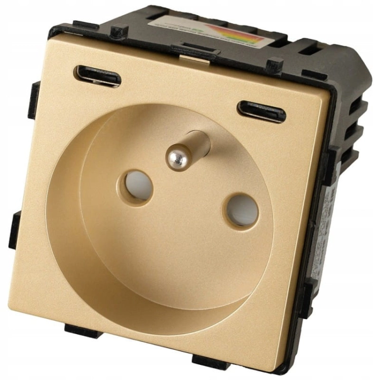Module Stopcontact Met Aardpen Goud + USB-Lader C+C 20W Voor Afdekramen MIUUN