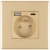 Stopcontact Met Aardpen Goud + USB A+C 20W Set Met PVC-Afdekraam MIUUN