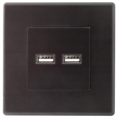 Stopcontact Zwart Dubbel USB-Laadstopcontact Set Met PVC-Afdekraam