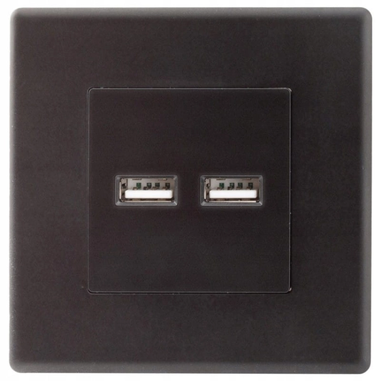 Stopcontact Zwart Dubbel USB-Laadstopcontact Set Met PVC-Afdekraam